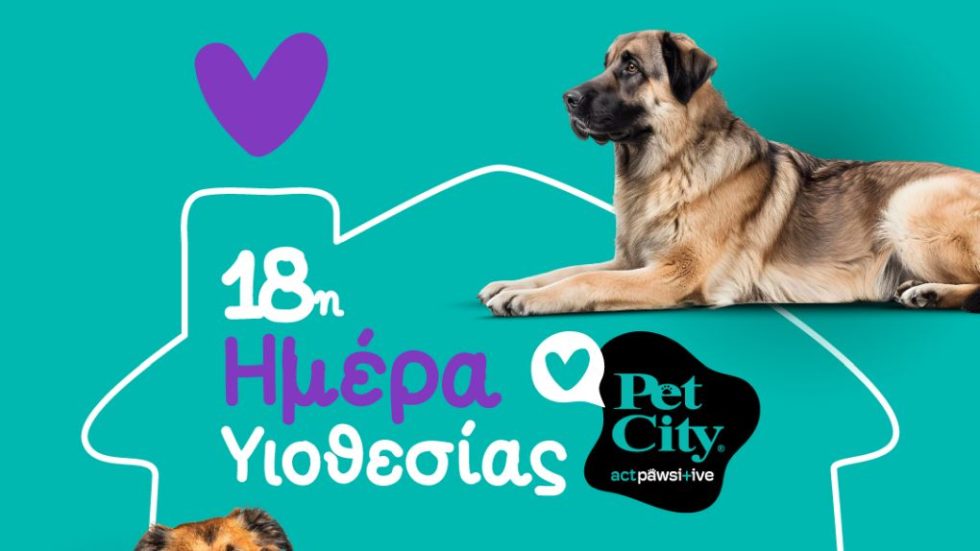 PET CITY